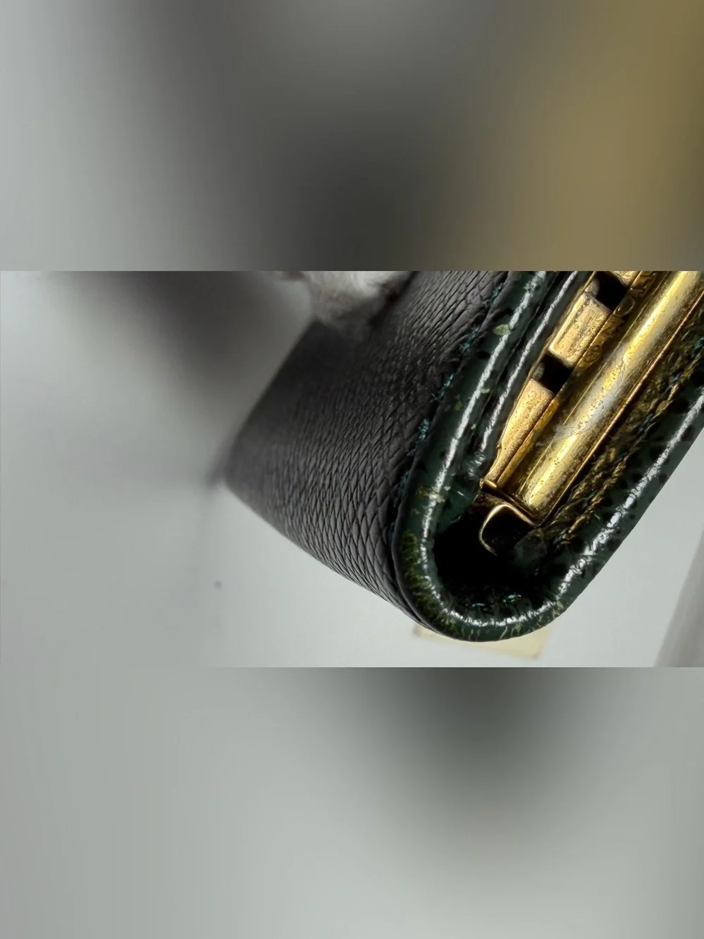 Louis Vuitton Green Taiga Leather Key Cles